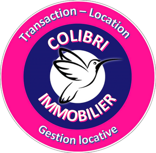 Logo colibri immobilier