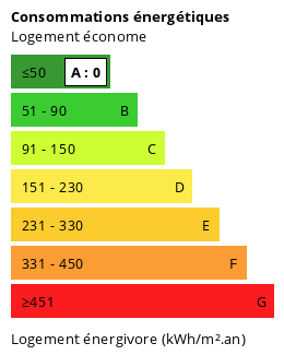 Émissions de gaz à effet de serre