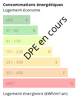 Émissions de gaz à effet de serre