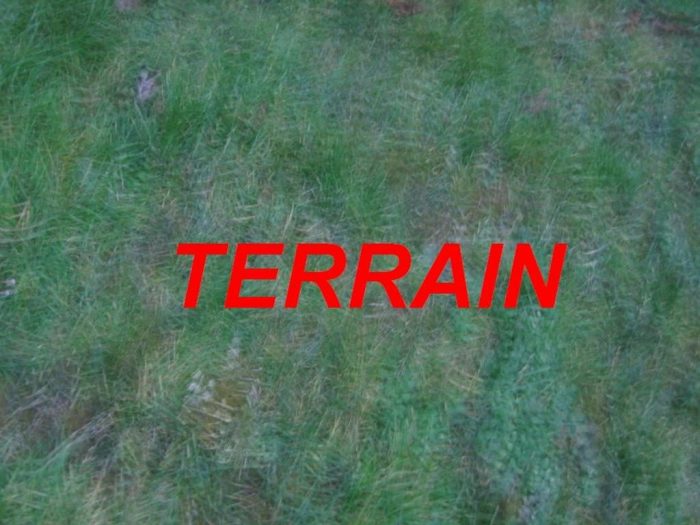 Photo Terrain à vendre Sevran image 1/1