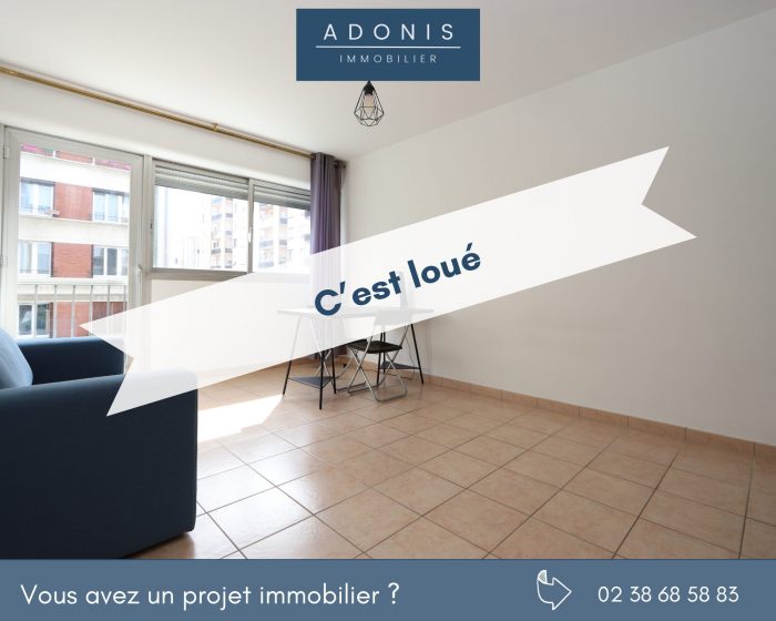 Appartement à louer, 1 pièce - Orléans 45000