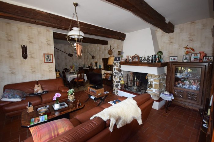 Maison ancienne à vendre en viager, 6 pièces - Plaisance 32160