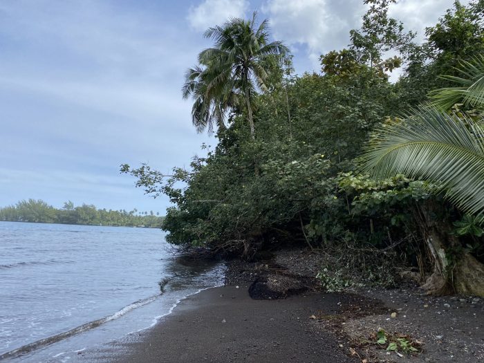 Terrain constructible à vendre, 26159 m² - Teahupoo 98723