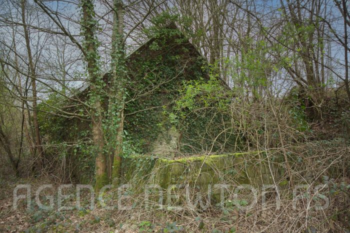 Photo COTES D'ARMOR, Le Quillio.  Fermette à rénover, située en campagne, 5 890 m2 / 1.46 acres. Dépendances. image 12/12