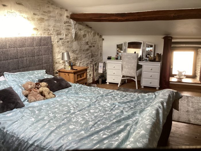 Photo HAUTE VIENNE- Bussiere Poitevine - Magnifique maison en pierre rénovée de 2 chambres située dans un hameau tranquille image 12/15