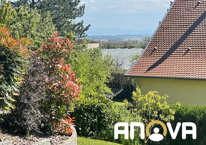 Maison contemporaine à vendre, 8 pièces - Kienheim 67270