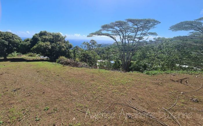 Photo Vends beau terrain avec vue sur Moorea et Pointe Vénus image 2/2