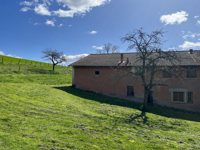 Ferme à vendre, 5 pièces - Bessenay 69690