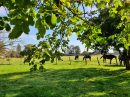 Maison  Sermoise-sur-Loire  238 m² 7 pièces