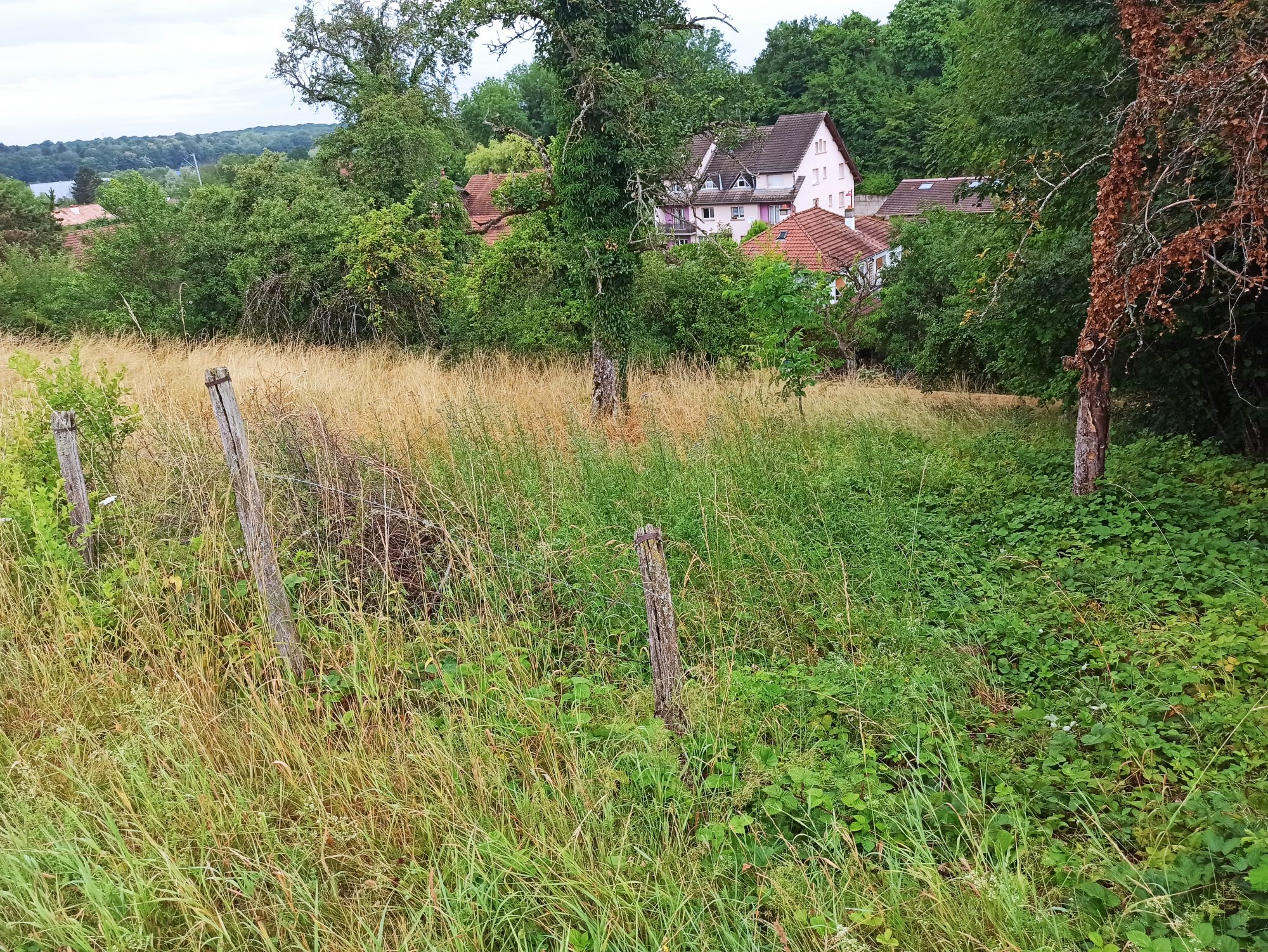 Vente Terrain ANDELNANS 90400 Territoire de Belfort FRANCE