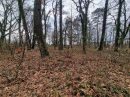 Terrain  Saint-Geours-de-Maremne   pièces 0 m²