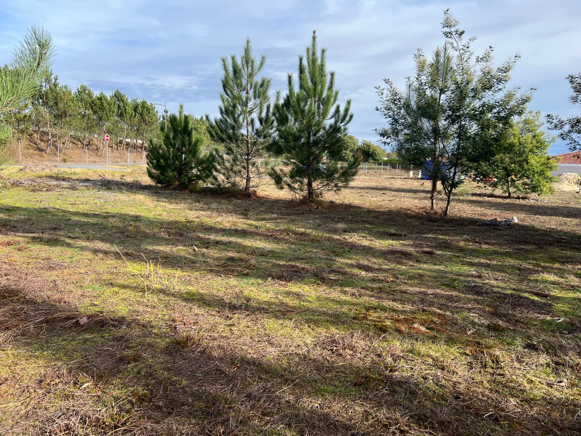 Vente Terrain SAINT-GEOURS-DE-MAREMNE 40230 Landes FRANCE