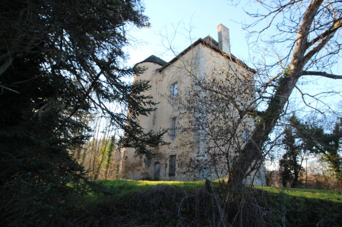 Castle for sale, 6 rooms - Boussac 23600