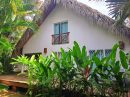  House 140 m² 4 rooms Las Terrenas Las Terrenas Centre