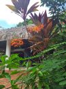 140 m² House Las Terrenas Las Terrenas Centre  4 rooms