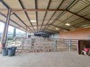 Magnificent Equestrian Property on 40 Hectares of Land