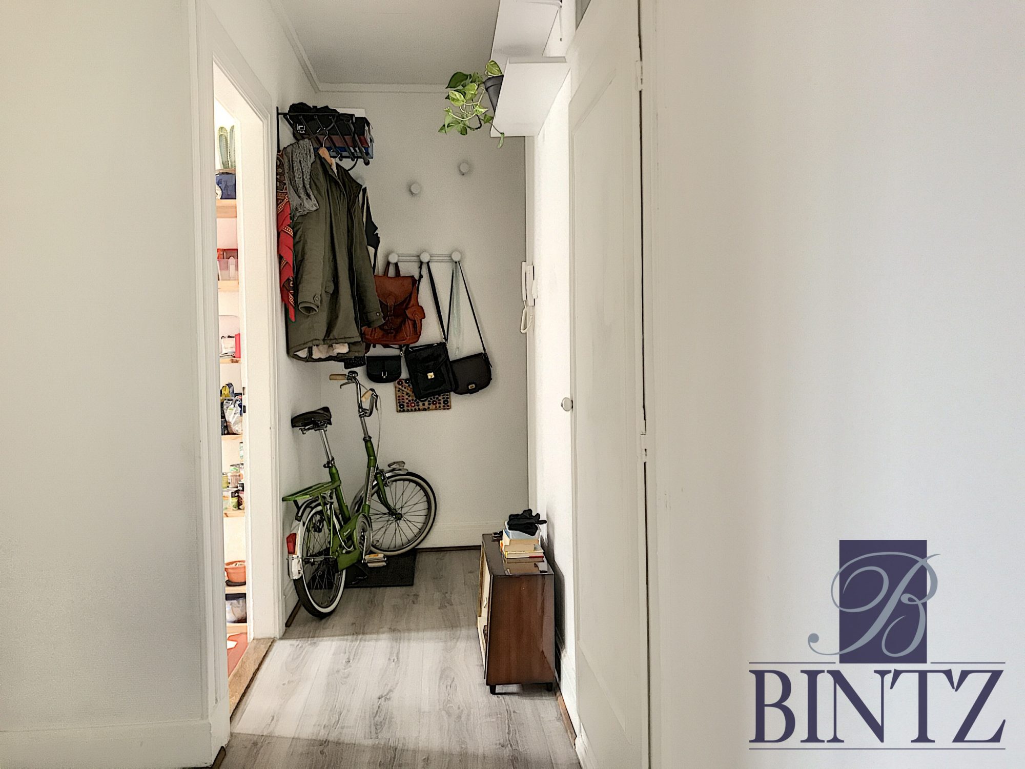 1 PIÈCE QUARTIER KRUTENAU - location appartement Strasbourg - Bintz Immobilier - 6