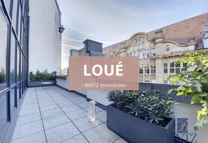 4 PIECES MEUBLE AVEC TERRASSE HYPER-CENTRE - location appartement Strasbourg - Bintz Immobilier