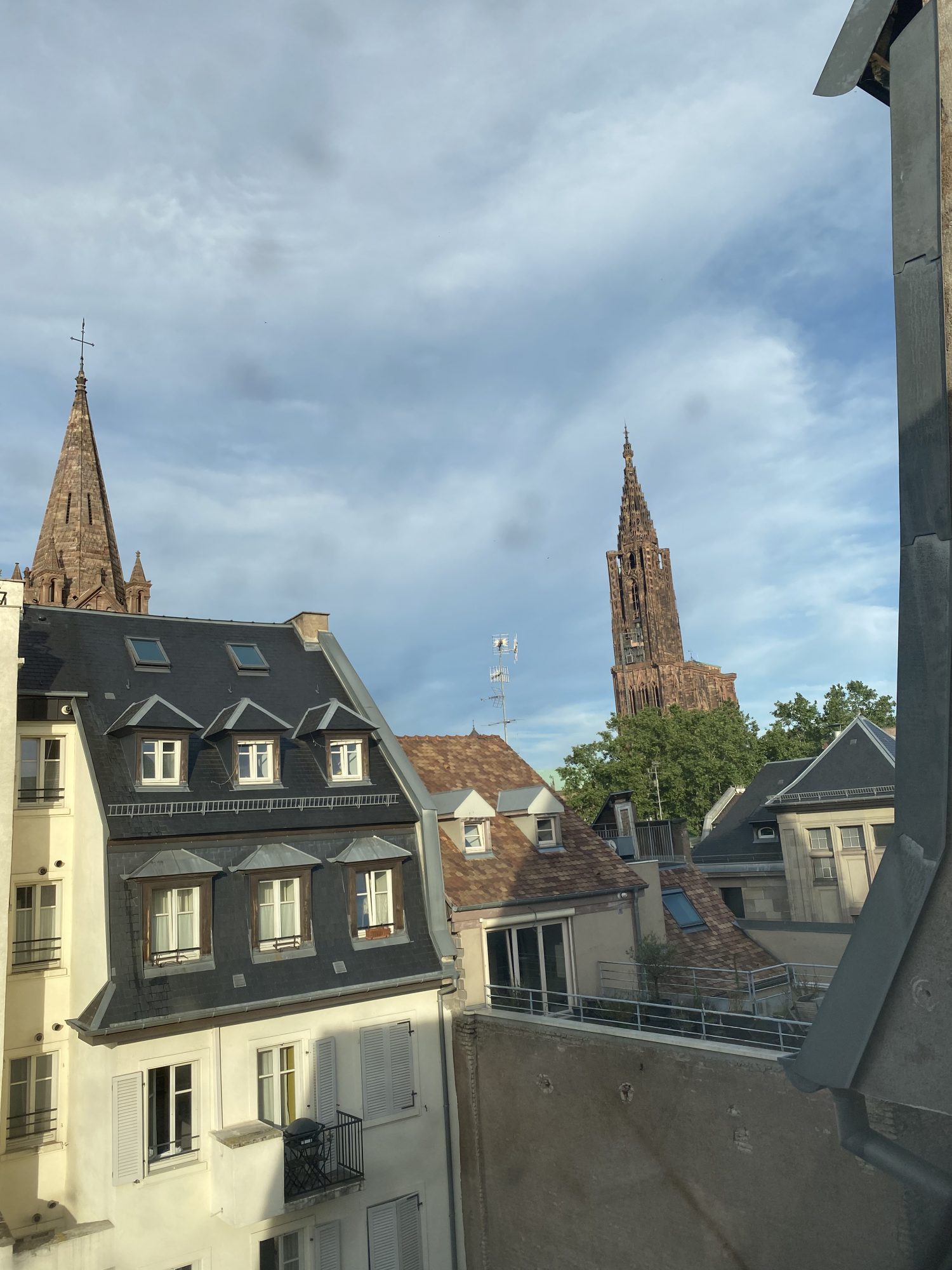 COCON AVEC TERRASSE HYPER-CENTRE - location appartement Strasbourg - Bintz Immobilier - 17