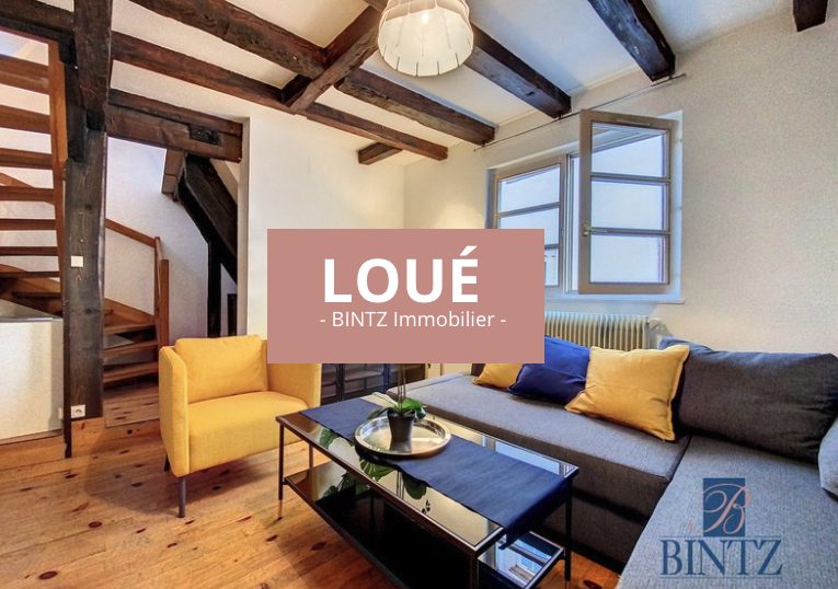 DUPLEX AUX PIEDS DE LA CATHEDRALE - location appartement meublé Strasbourg - Bintz Immobilier - 1