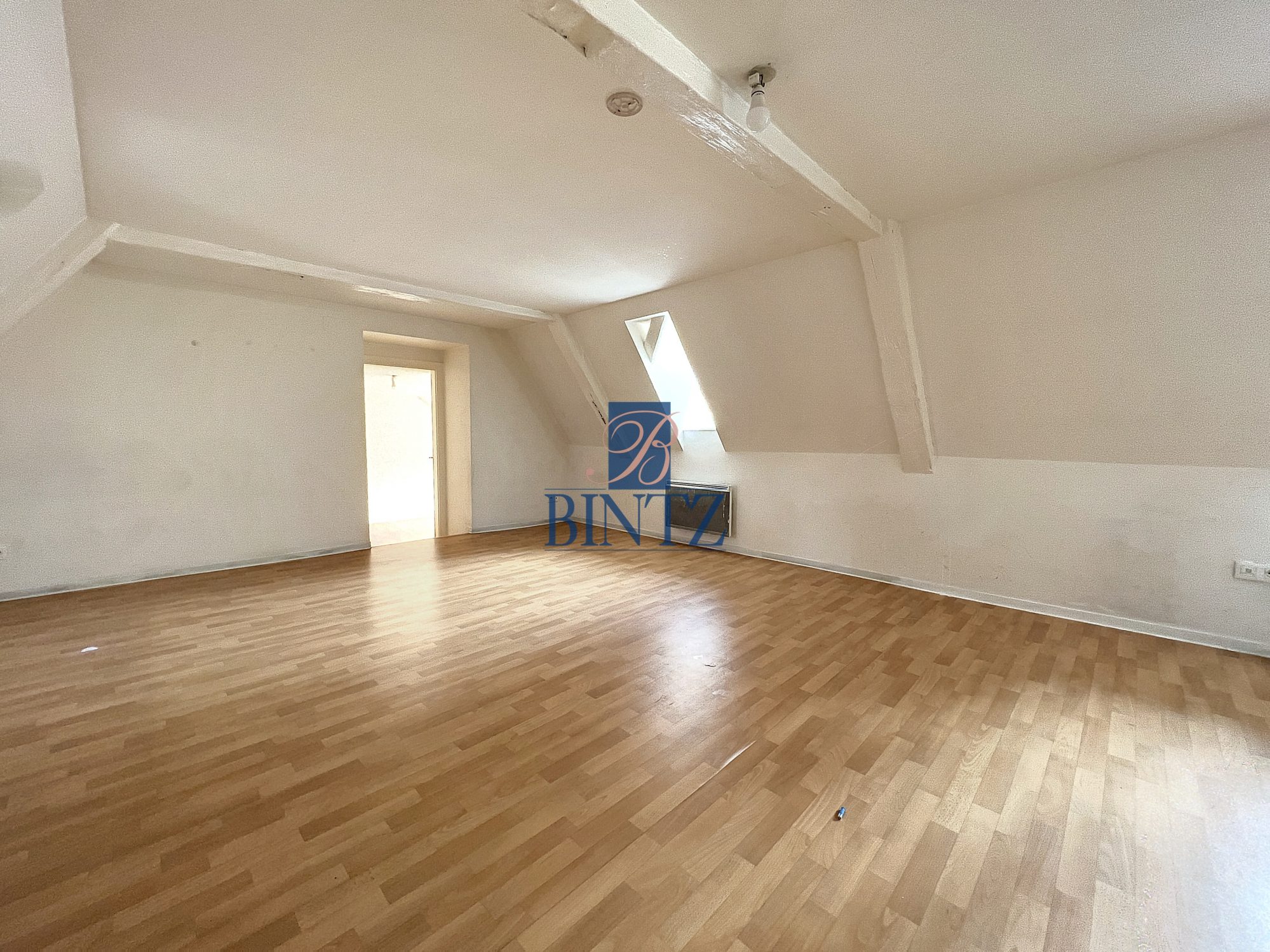 2P CATHEDRALE - location appartement T2 Strasbourg - Bintz Immobilier - 2