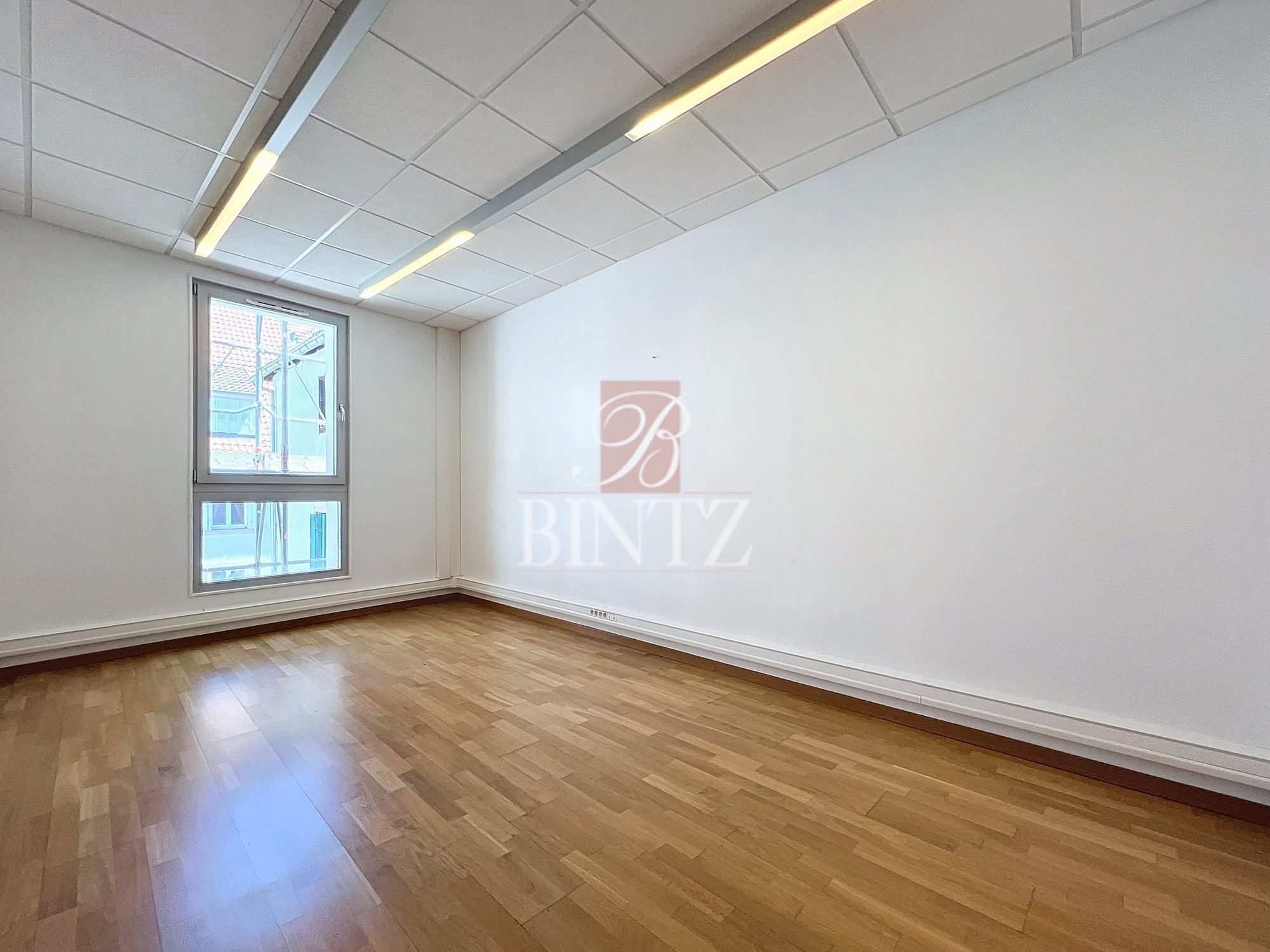 LOCAL PROFESSIONNEL SAVERNE - location bureaux - Bintz Immobilier - 18