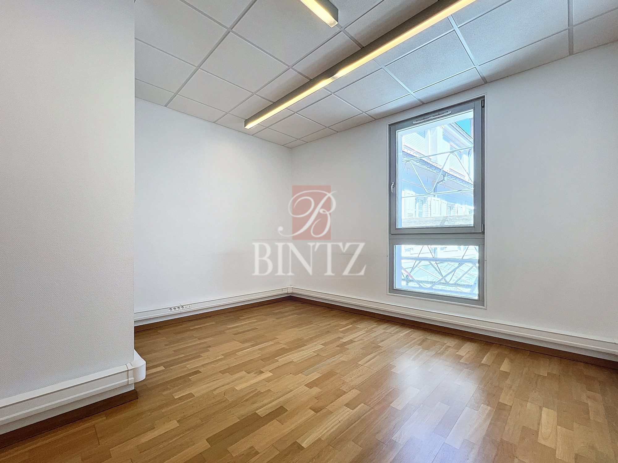 LOCAL PROFESSIONNEL SAVERNE - location bureaux - Bintz Immobilier - 13