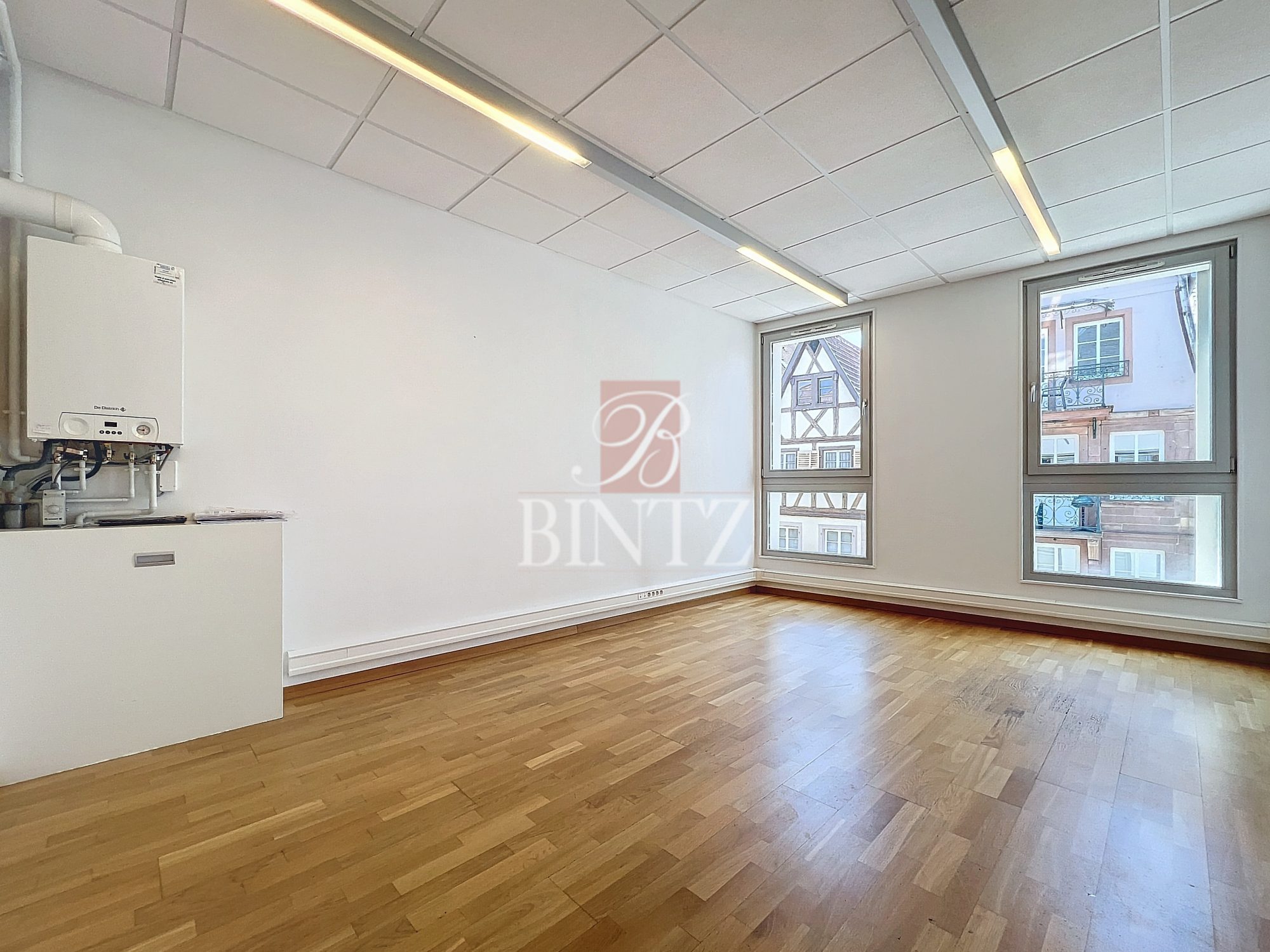 LOCAL PROFESSIONNEL SAVERNE - location bureaux - Bintz Immobilier - 19