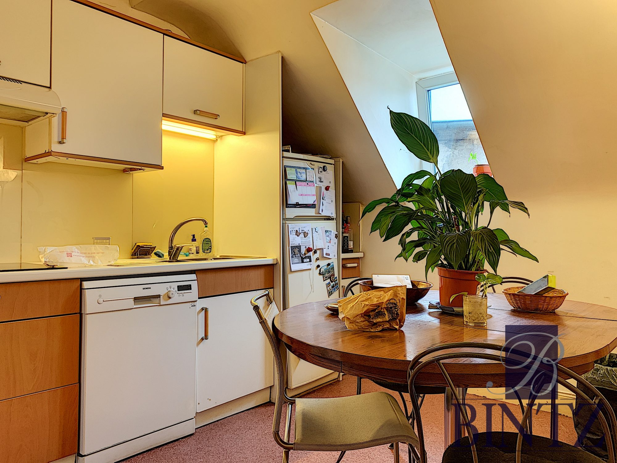 Ensemble de 2 appartements NEUSTADT - achat appartement Strasbourg - Bintz Immobilier - 9