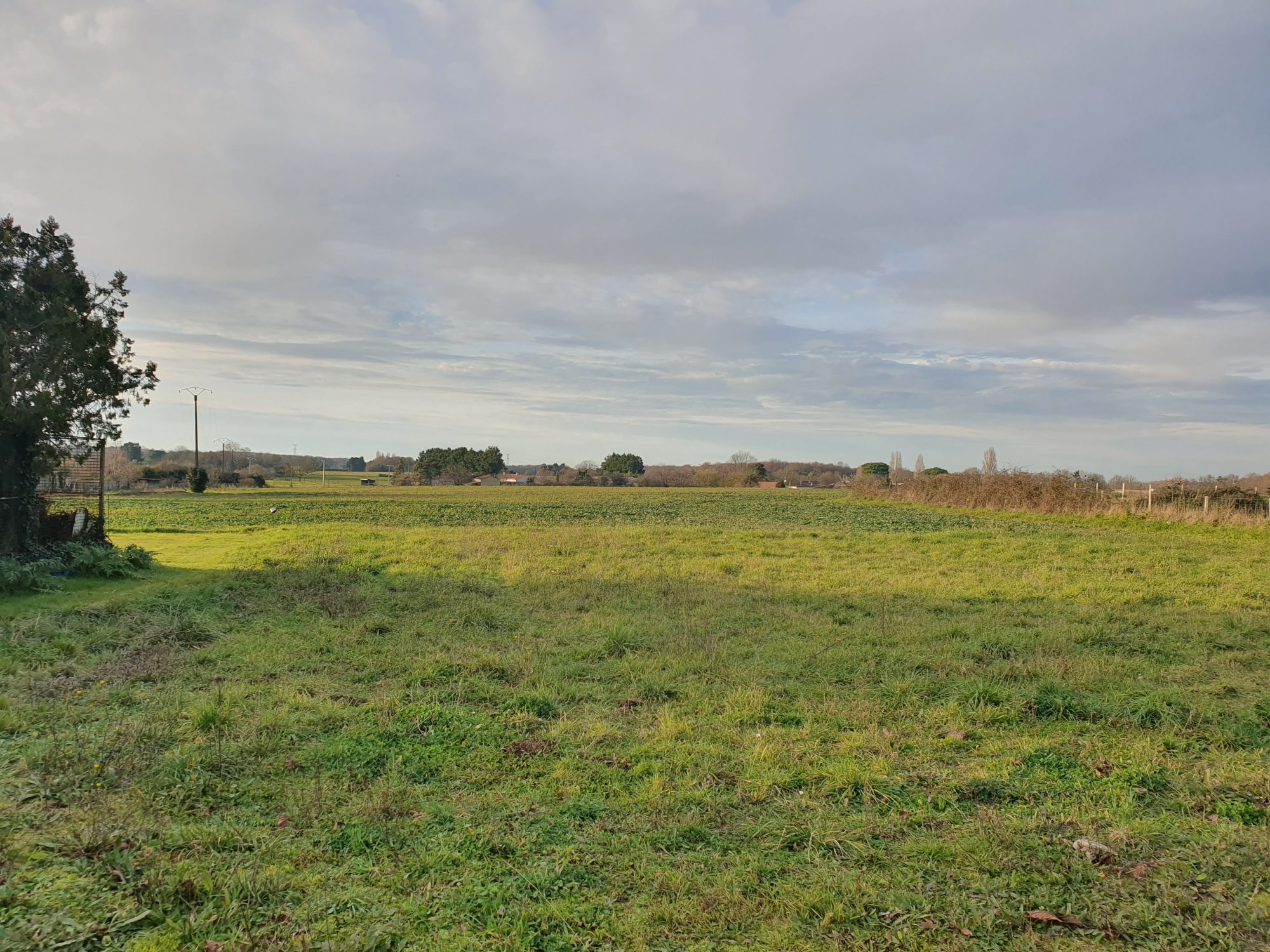 Vente Terrain THAIMS 17120 Charente Maritime FRANCE