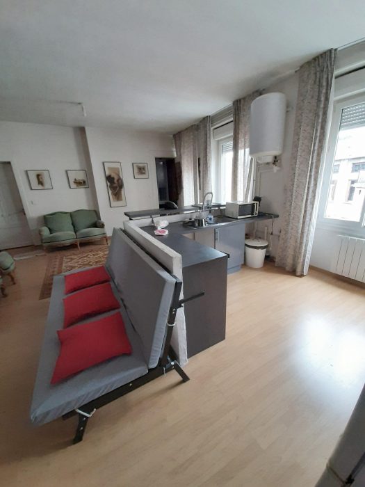 APPARTEMENT T2 - LOCATAIRE NE PLACE