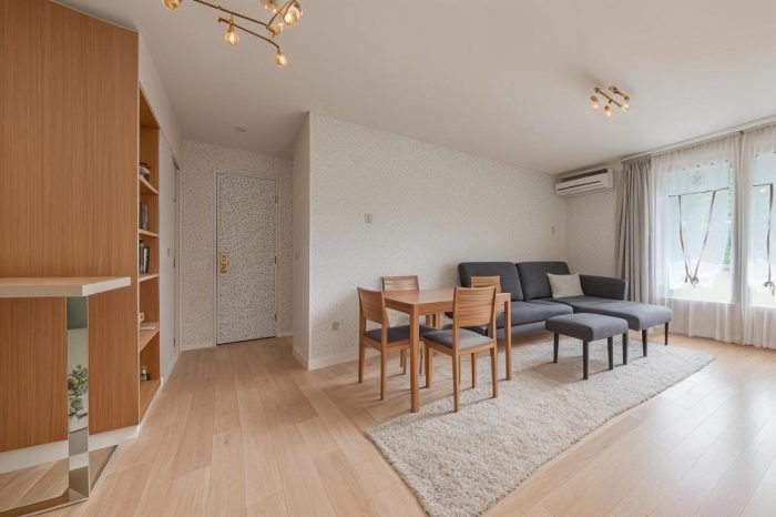 Appartement T4 de 63m² - Rue Villon - Lyon