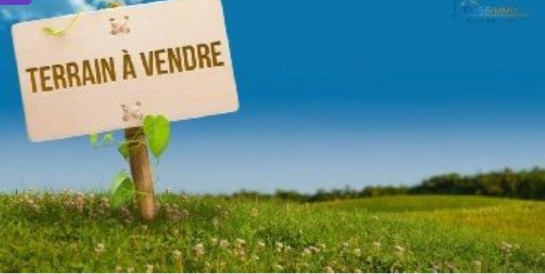 Vente Terrain PLAINE DES PALMISTES 97431 La Runion FRANCE