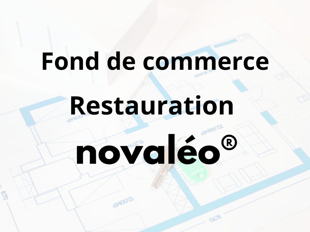 Vente Commerce AGDE 34300 Herault FRANCE