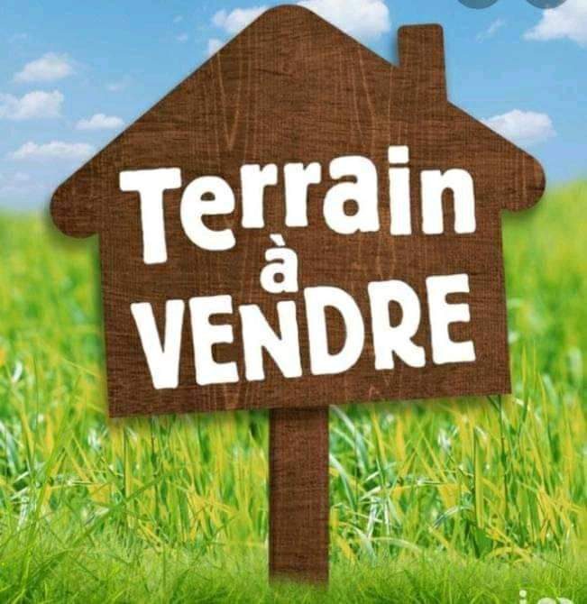Vente Terrain NOUAN-LE-FUZELIER 41600 Loir et Cher FRANCE
