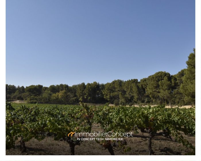 Photo Magnifique domaine viticole avec habitation du 18ème siècle image 1/20