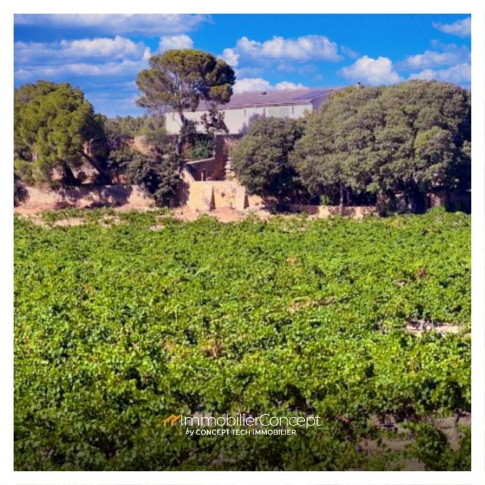 Photo Magnifique domaine viticole avec habitation du 18ème siècle image 2/20
