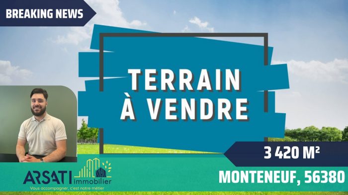 Vente Terrain MONTENEUF 56380 Morbihan FRANCE
