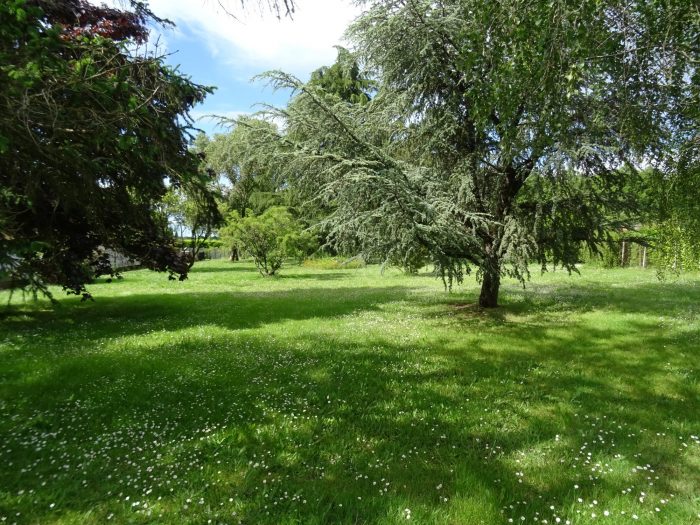 Vente Terrain SAINT-JULIEN-L ARS 86800 Vienne FRANCE