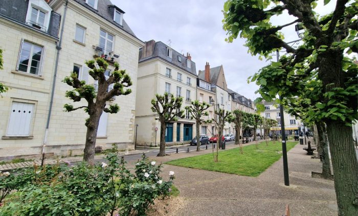 Location annuelle Appartement TOURS 37000 Indre et Loire FRANCE