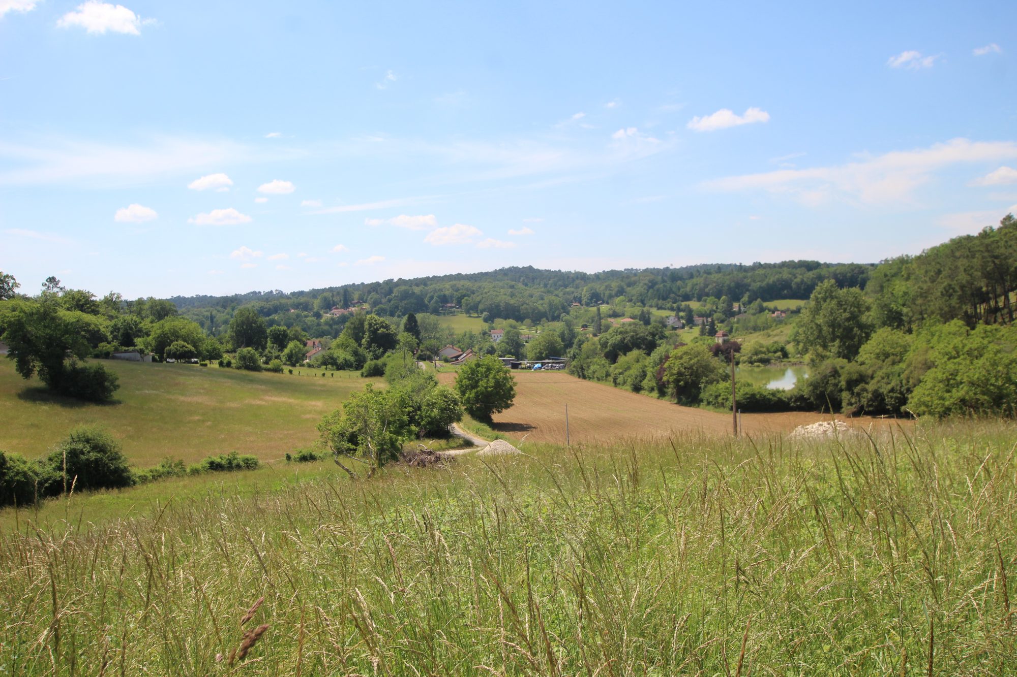 Vente Terrain SAINT-GERMAIN-DU-SALEMBRE 24190 Dordogne FRANCE