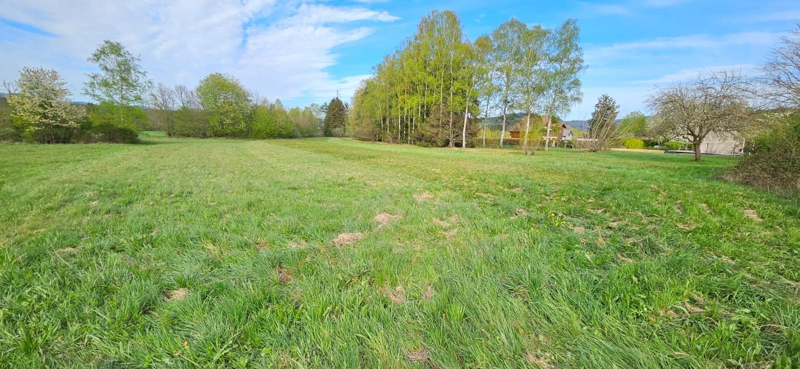 Vente Terrain SAINT-LEONARD 88650 Vosges FRANCE