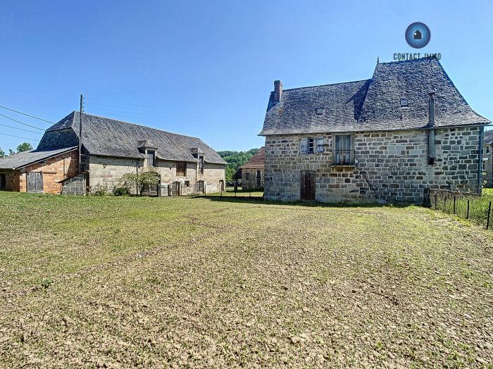 Ferme à vendre, 6 pièces - Brignac-la-Plaine 19310