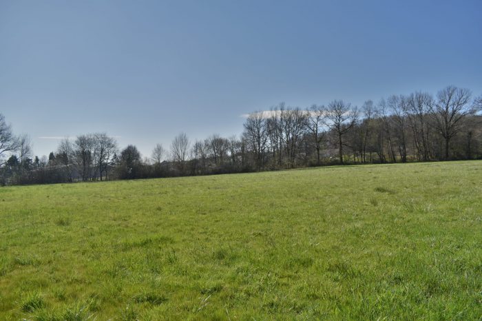 Terrain constructible à vendre, 1500 m² - Brignac-la-Plaine 19310