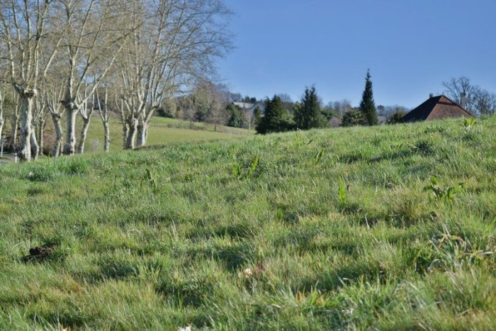 Terrain à vendre, 1300 m² - Donzenac 19270