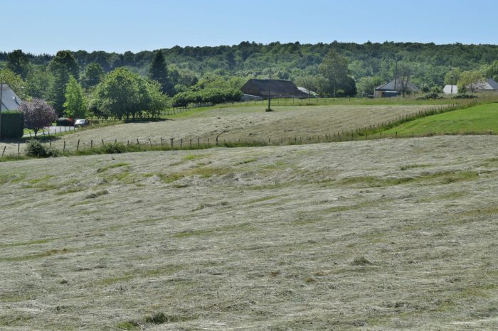 Terrain constructible à vendre, 2200 m² - Donzenac 19270