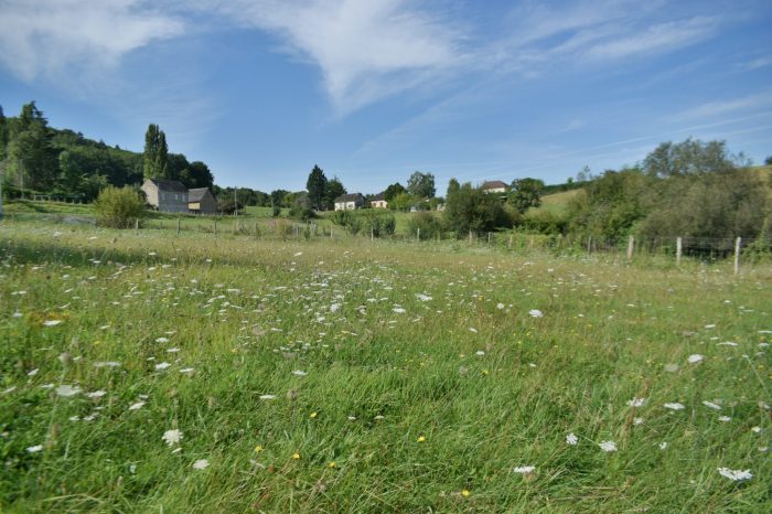 Terrain constructible à vendre, 1464 m² - Lissac-sur-Couze 19600
