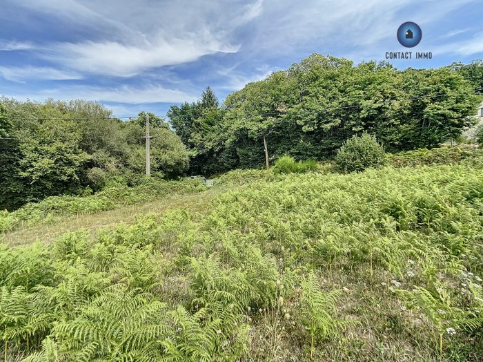 Terrain constructible à vendre, 3141 m² - Sadroc 19270