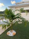 7 pièces SINT MARTEEN  400 m²  Maison