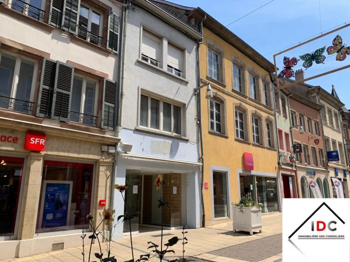 Immeuble à vendre, 268 m² - Sarrebourg 57400